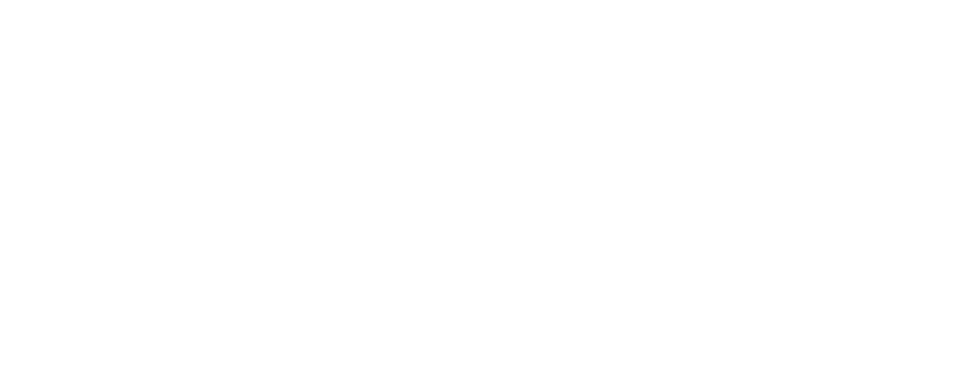 Beacon Security & Intelligence Limited